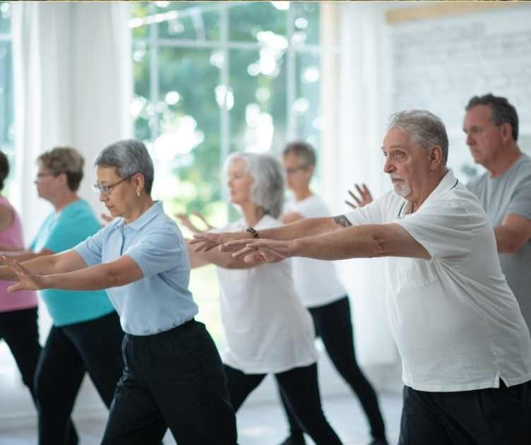 senior shape fitness videos