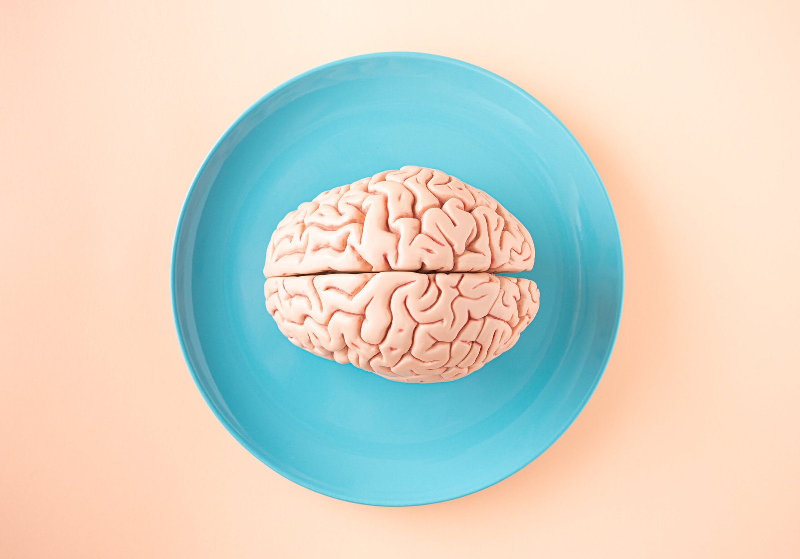 from-neuron-to-brain-5th-edition-1