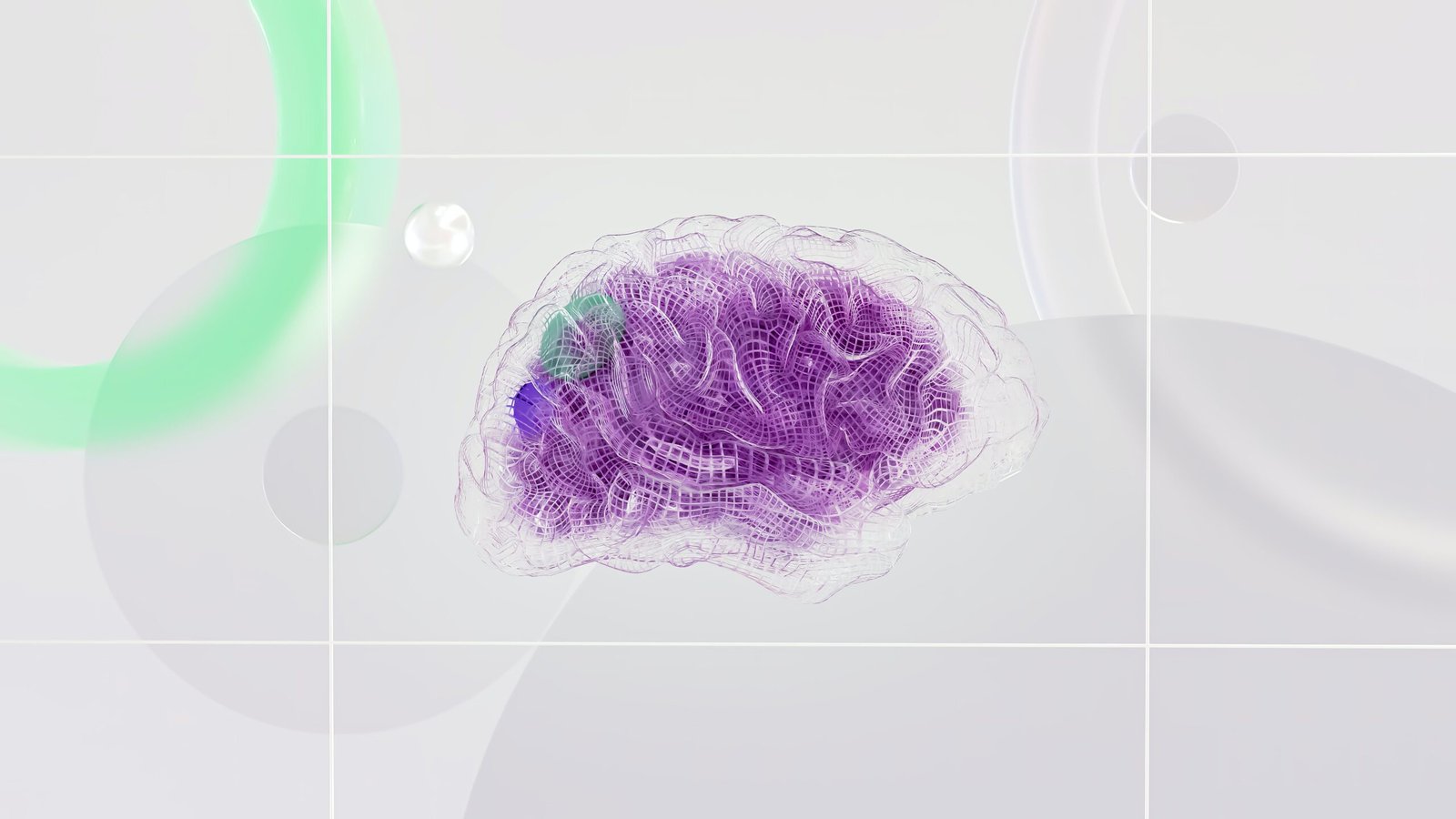 the-brain-big-bangs-behaviors-and-beliefs-paperback-illustrated-march-25-2014-1